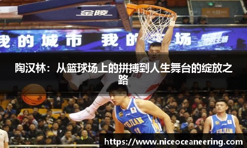 陶汉林：从篮球场上的拼搏到人生舞台的绽放之路